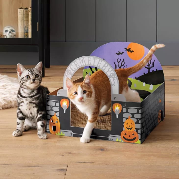 Product Image: Halloween Board Graveyard Cat Scratcher - Hyde & EEK! Boutique™