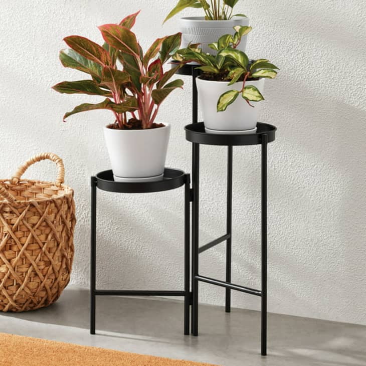 Aldi's 3-Tiered Belavi Plant Stand Is So Chic (and Only $13) | Apartment  Therapy