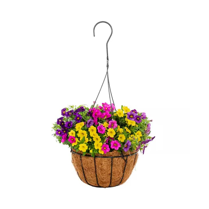 Costco Is Selling Hanging Planters | Apartment Therapy