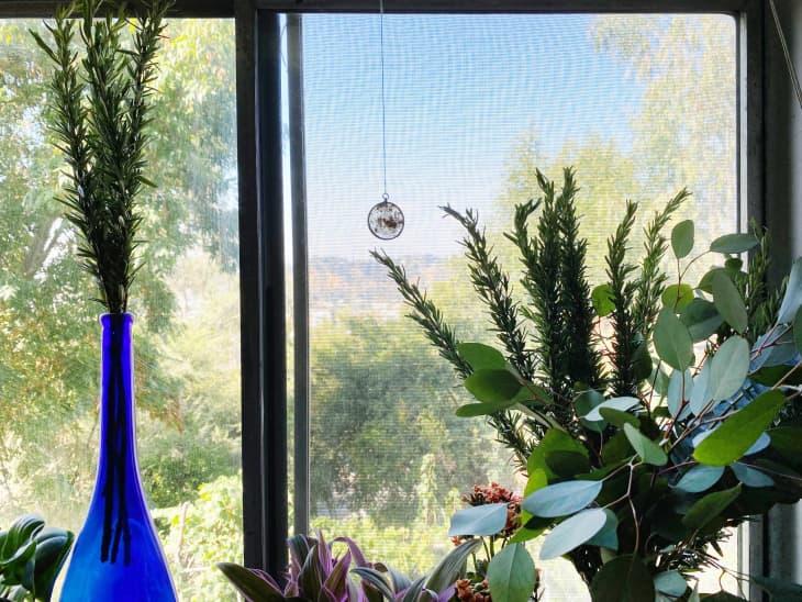 The view out a kitchen window, with plants in the foreground and a small light catcher hanging in front of the glass
