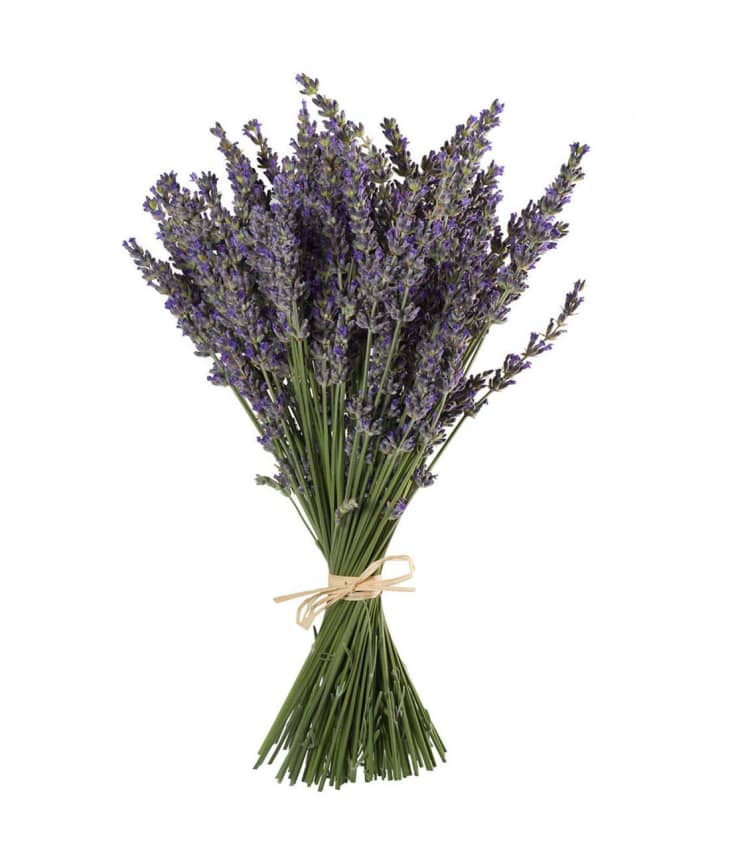 Dried Lavender & Daisies Bouquet_ The Shops at Mount Vernon