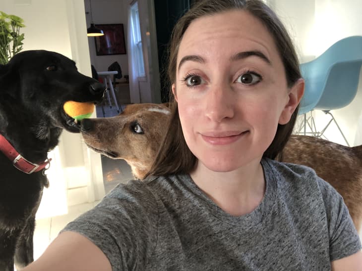 dog selfie ball