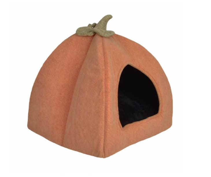 Cat Costume – Pumpkin – Hyde & EEK! Boutique at Target
