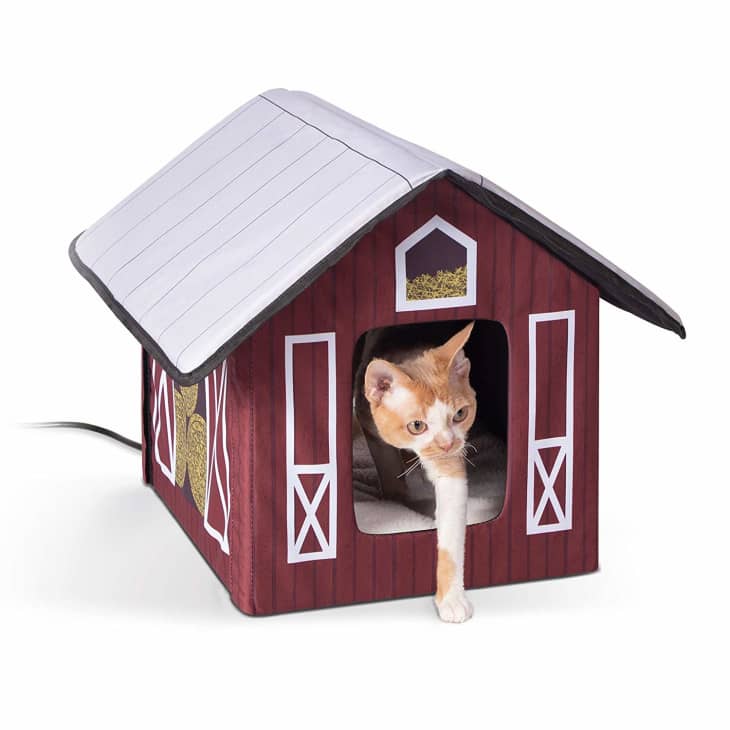  Heated  Insulated Cat  House  Amazon Apartment Therapy