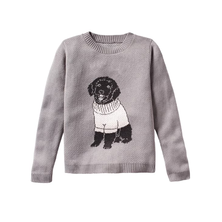 Custom Dog Wearing Sweater Sweater at Sweater Hound