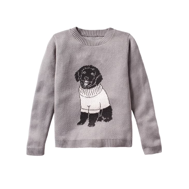 personalized dog sweatshirts for humans