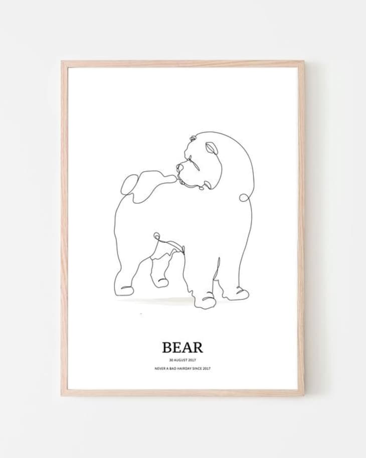 minimalist pet portrait