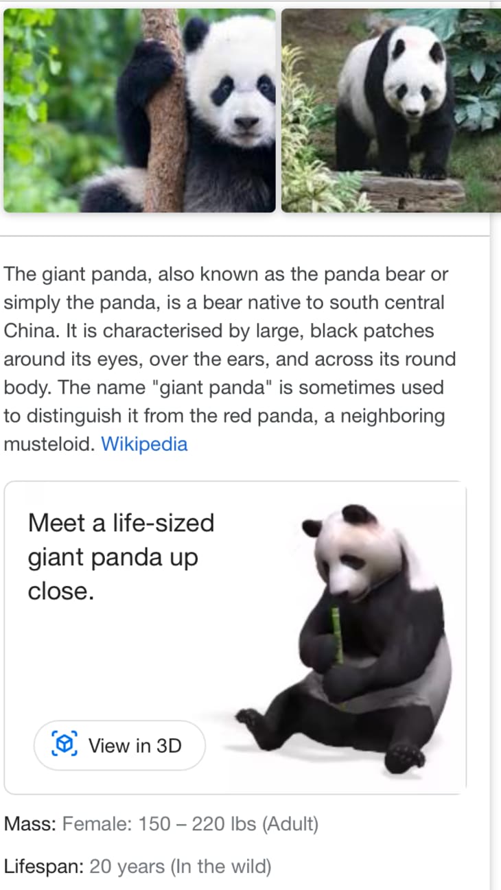 Google 3D, Bring Wild Animals Home