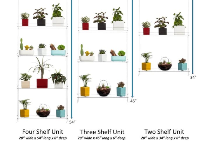 Featured image of post Plant Shelves For Windows Indoors / Indoor plants offer many benefits not just for homes but also for offices and other spaces.