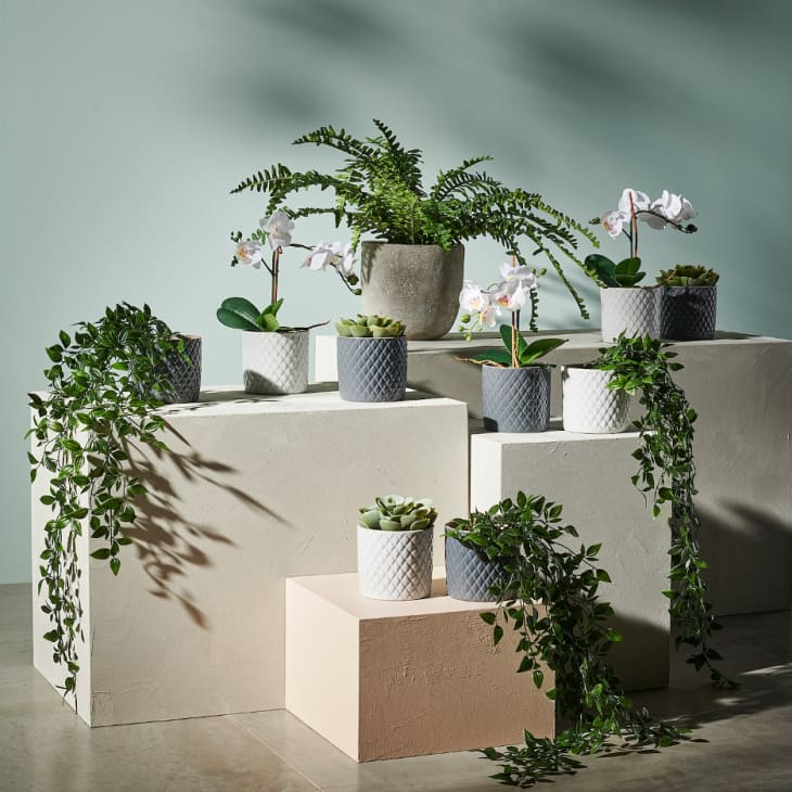 Set of plant pots and artificial plants
