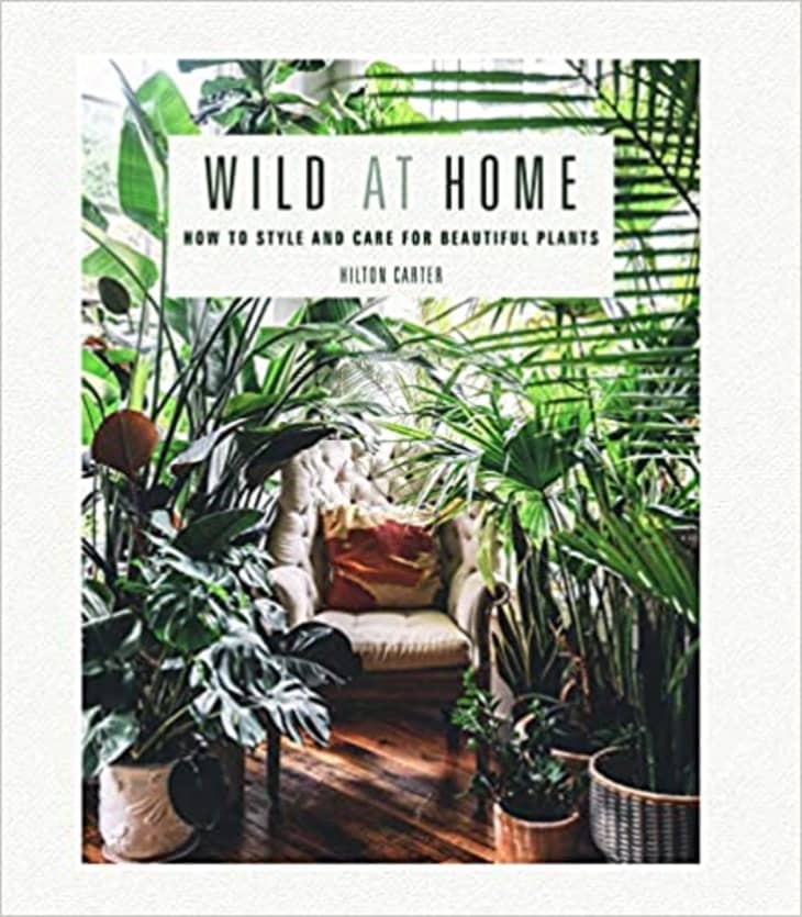Product Image: “Wild at Home” by Hilton Carter
