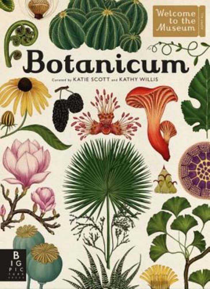 Product Image: “Botacium” by Kathy Willis and Katie Scott