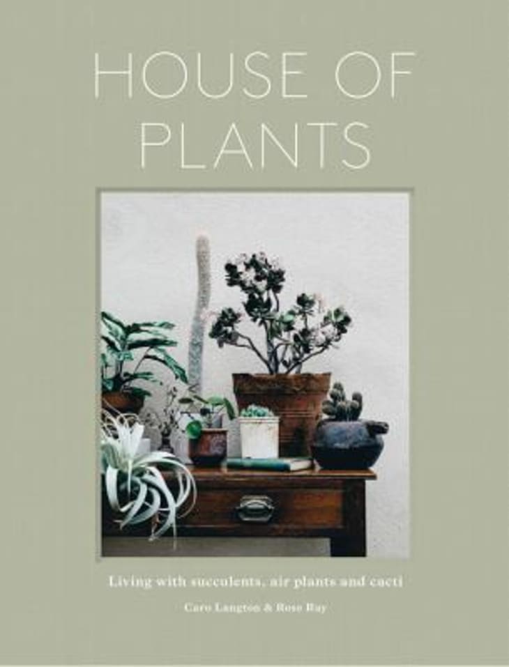 “House of Plants: Living with Succulents, Air Plants and Cacti” by Caro Langton and Rose Ray at bookshop.org