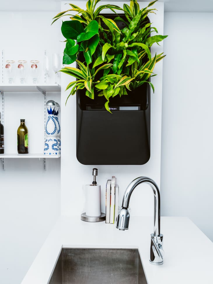 Black plant keeper + air purifier hanging on wall next to sink