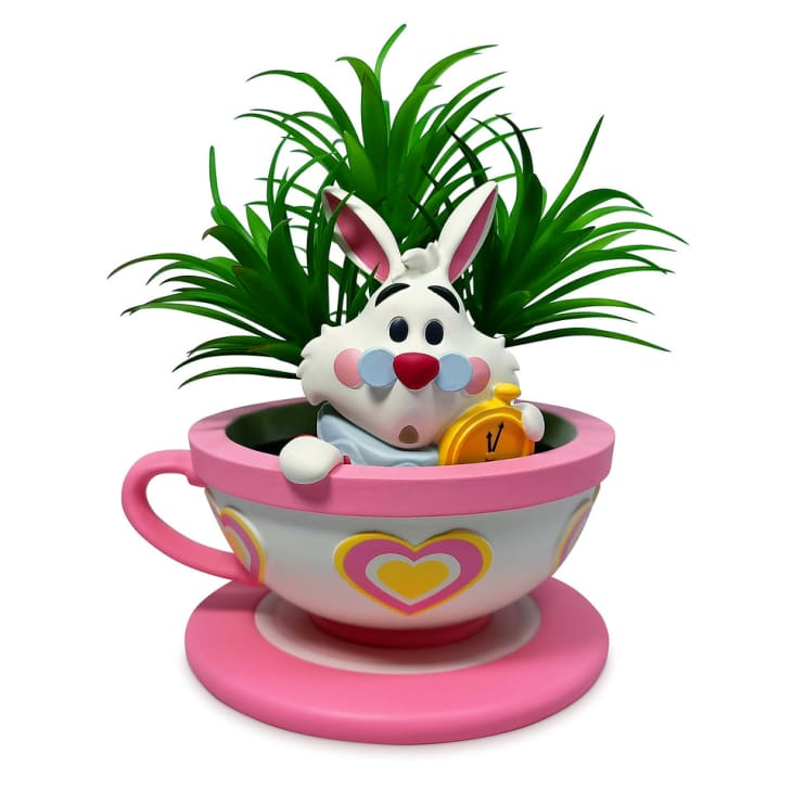 Product Image: White Rabbit Tea Cup Succulent Planter