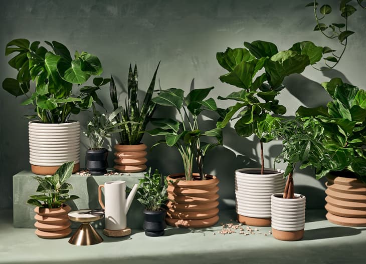 plant pot holders with wheels Monticello Folding Metal Plant Stand – Monticello Shop main image 1