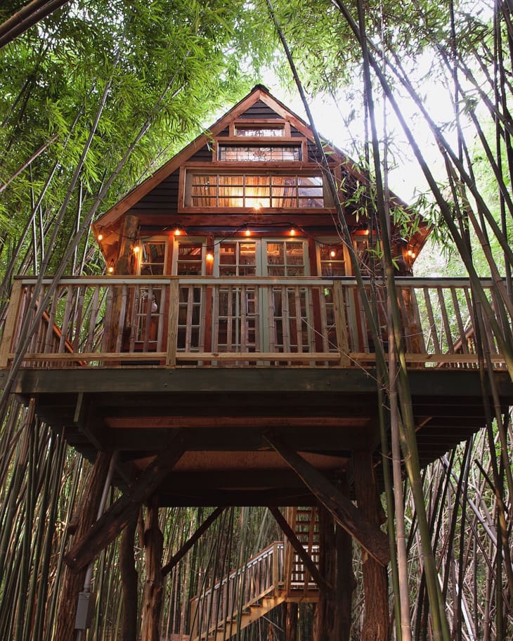 Treehouse cabin among tall trees