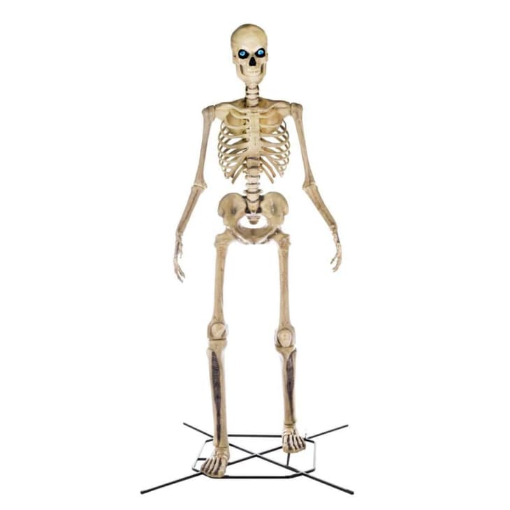 12 ft Giant-Sized Skeleton with LifeEyes LCD Eyes at Home Depot