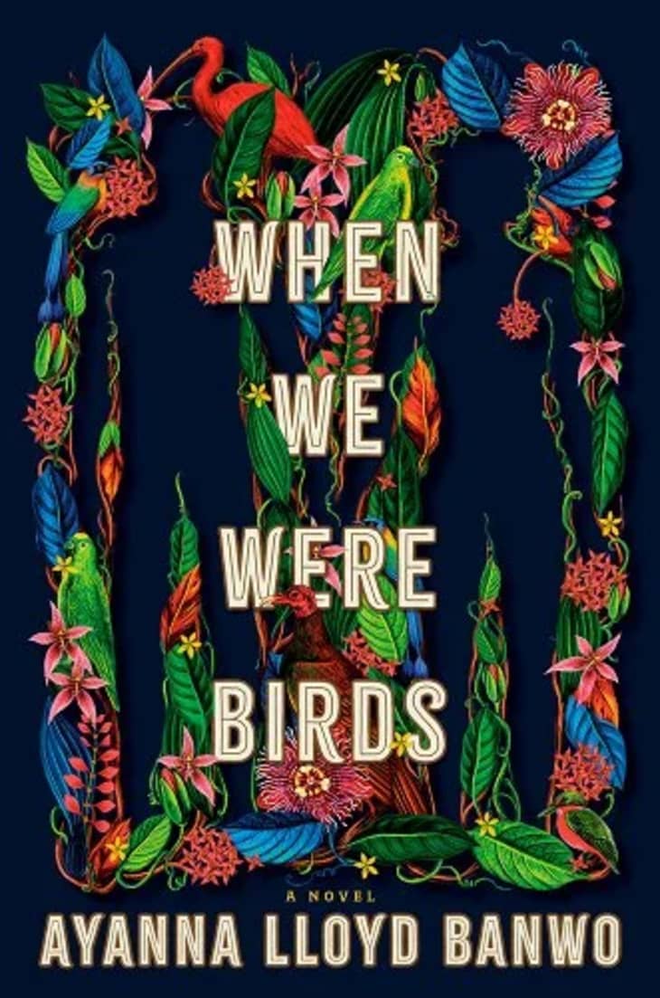 Product Image: When We Were Birds by Ayanna Lloyd Banwo