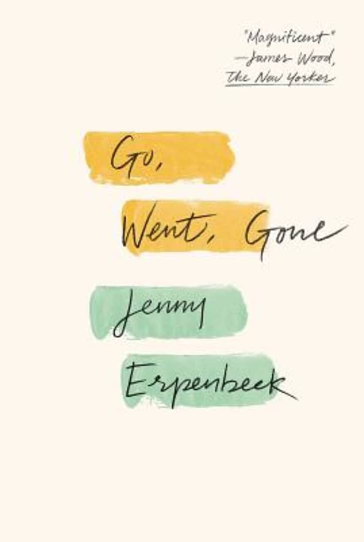 Go, Went, Gone by Jenny Erpenbeck at Bookshop