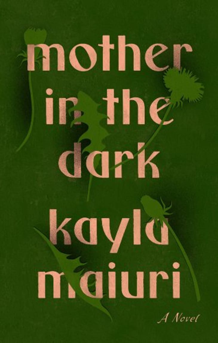 Product Image: "Mother in the Dark" by Kayla Maiuri