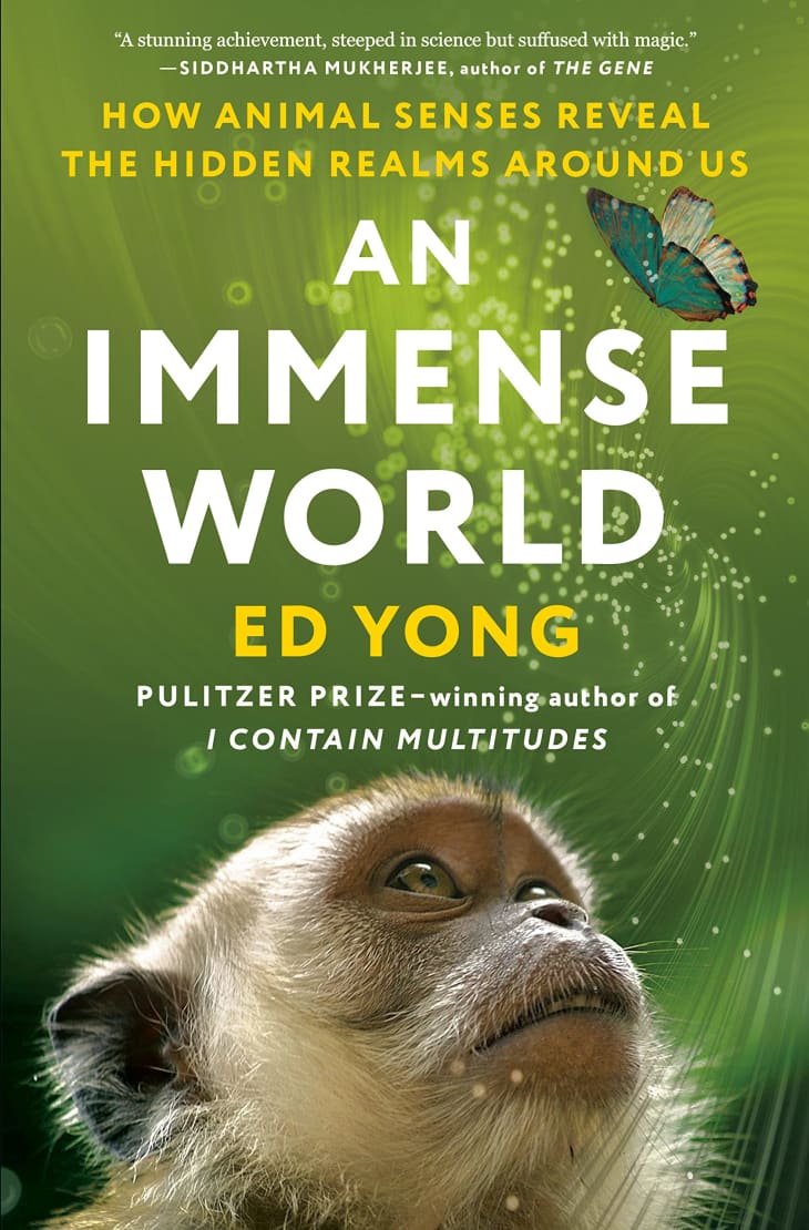 "An Immense World: How Animal Senses Reveal the Hidden Realms Around Us" at Bookshop