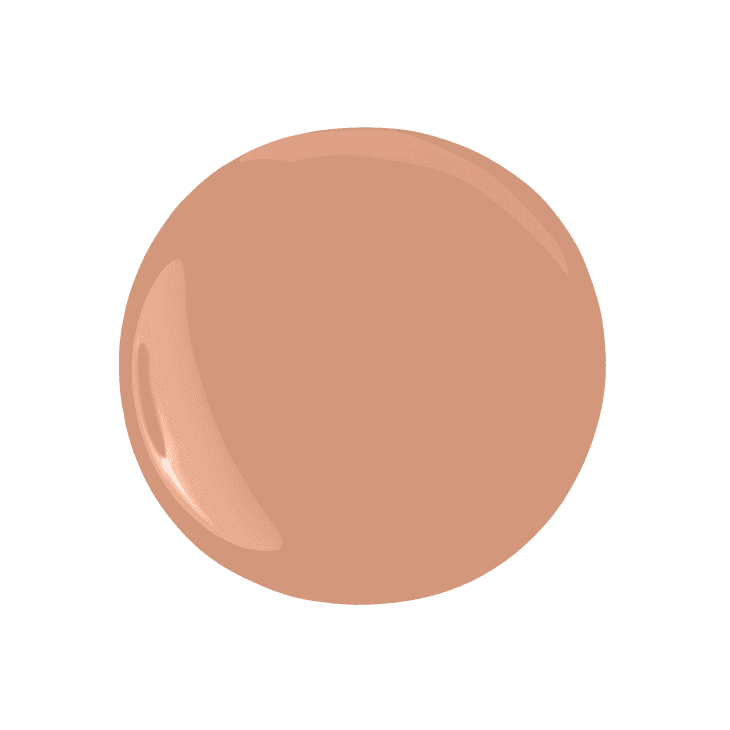 Paint dollop featuring HGTV Home by Sherwin-Williams paint color Persimmon