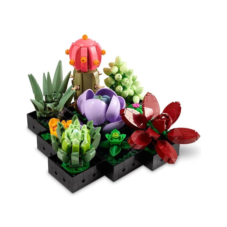 LEGO Icons Succulents Artificial Plants Set at Amazon