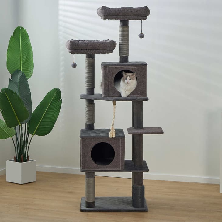Catry Stella 6 Level Quilted Velvet Large Cat Tree With Condo at Costco