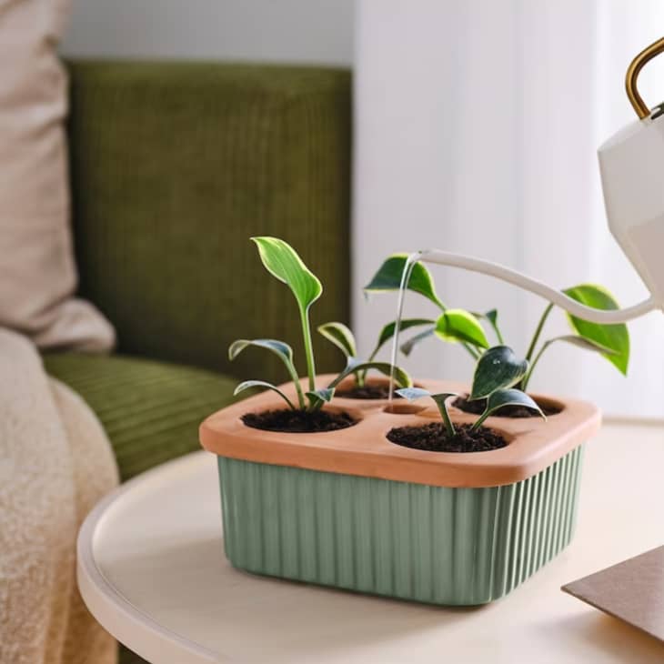 IKEA's DAKSJUS Collection Is Full of Planters Under $50 | Apartment Therapy