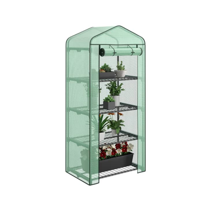 4-Tier Mini Greenhouse at Amazon