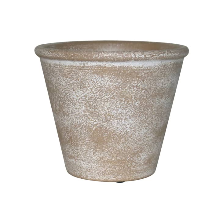 decorative hanging plant pots Glass and Wood Vase Planter Terrarium Table Desktop Hydroponics Plant