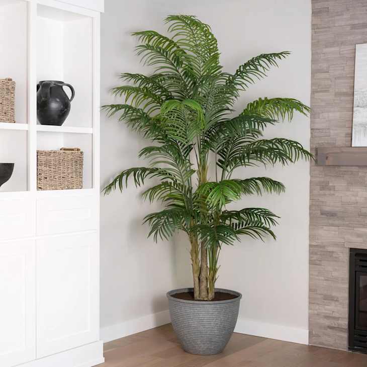 Costco’s New Faux Plants Look So Realistic, You’ll Want 1 of Each