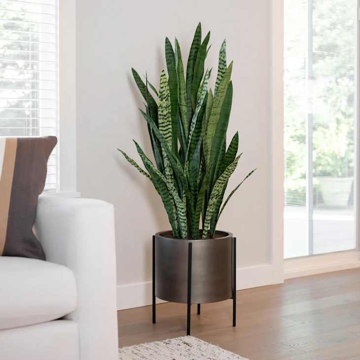 Costco’s New Faux Plants Look So Realistic, You’ll Want 1 of Each ...