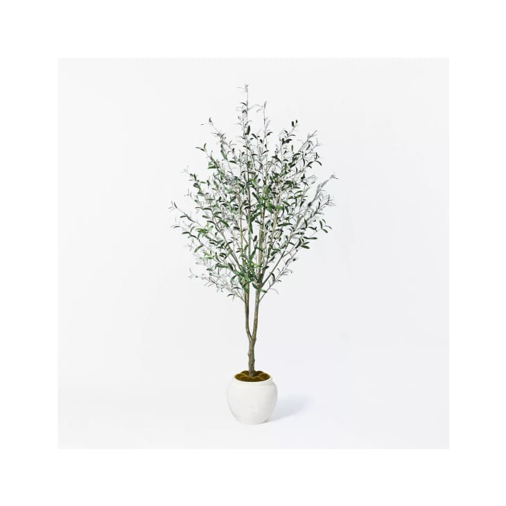 93" Artificial Olive Tree- Threshold Designed with Studio McGee at Target