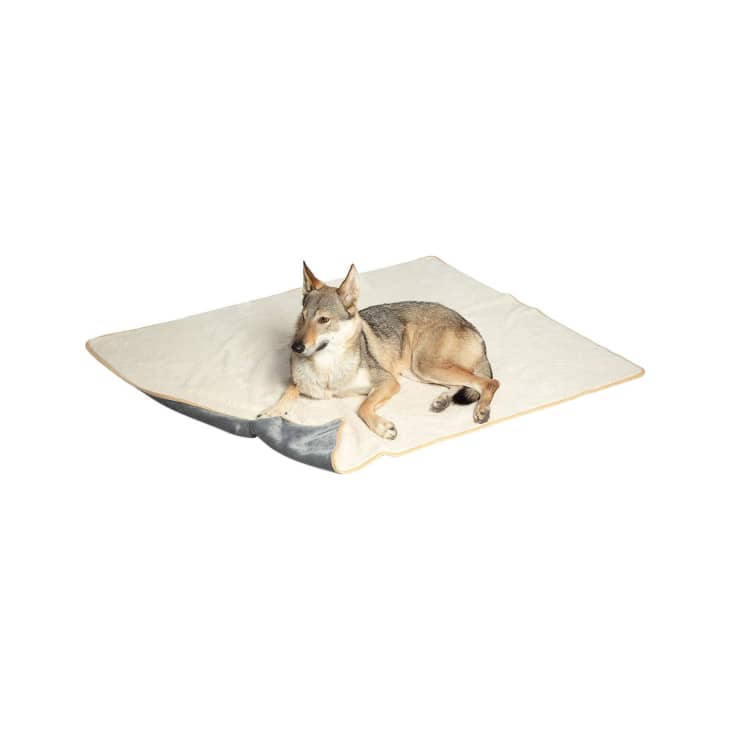 Brentwood Originals Waterproof Pet Throw and Furniture Protector