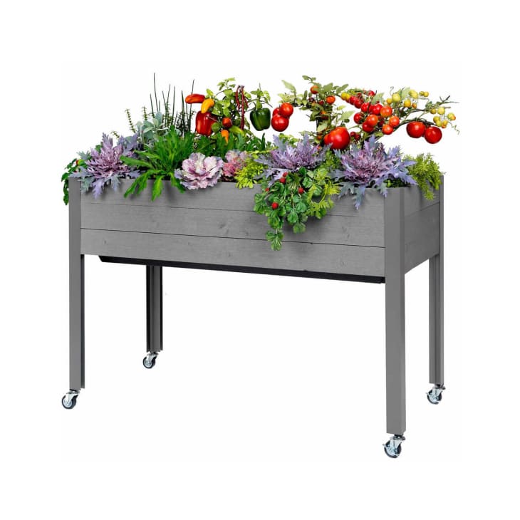 Product Image: CedarCraft Self-Watering Elevated Spruce Planter