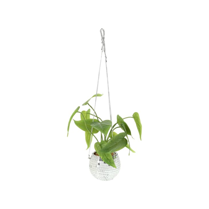 Five Below's Faux Plants in Disco Planters Are Under $6 Each | Apartment  Therapy