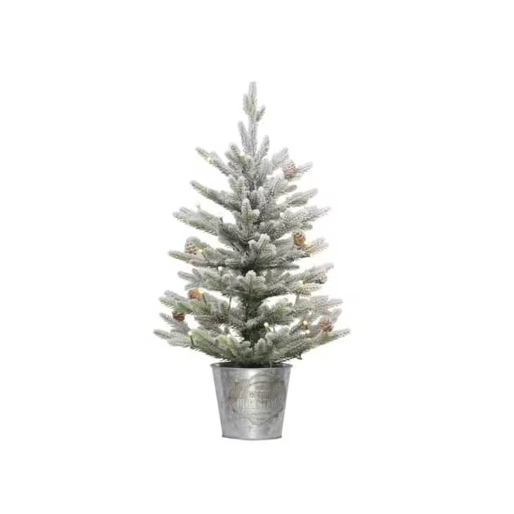 Puleo International 2-Foot Pre-Lit Flocked Artificial Christmas Tree at Home Depot