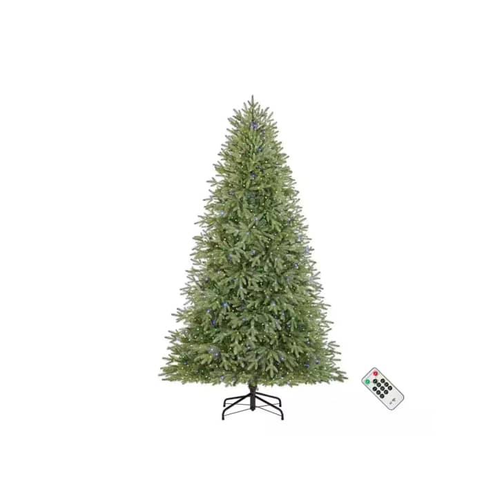 Product Image: 7.5 ft. Pre-Lit LED Jackson Noble Artificial Christmas Tree