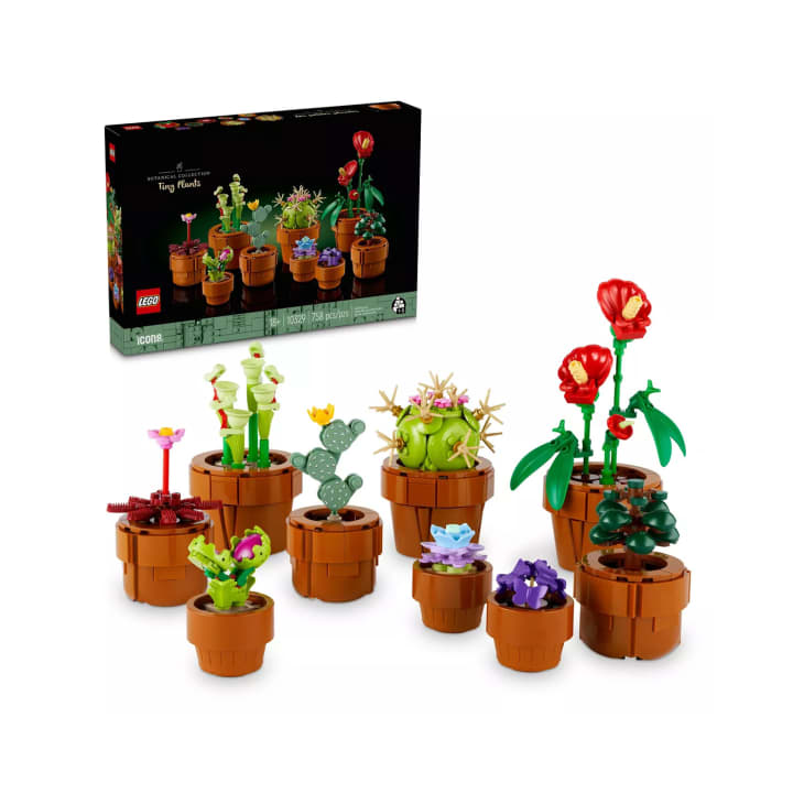 LEGO Icons Tiny Plants Build and Display Set at Target