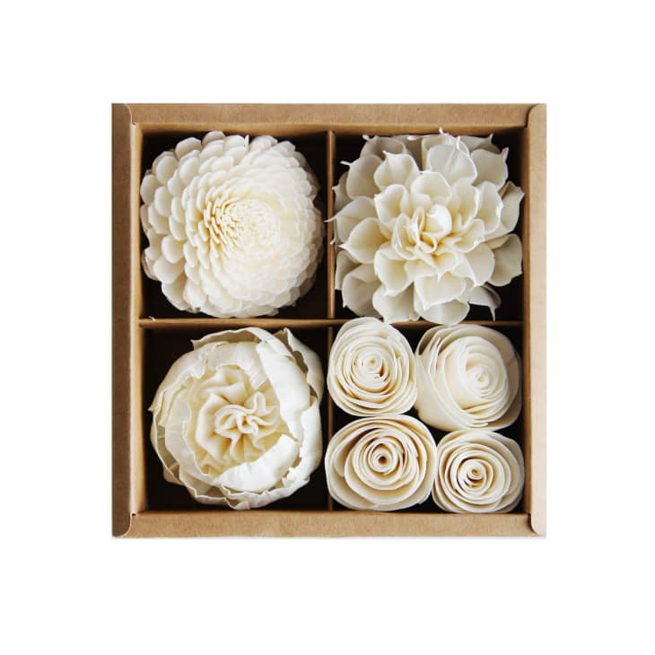 Mixed White Sola Flower with Cotton Wick Diffuser Set at Amazon