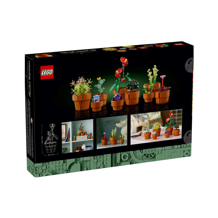 LEGO Icons Tiny Plants Building Set at Amazon