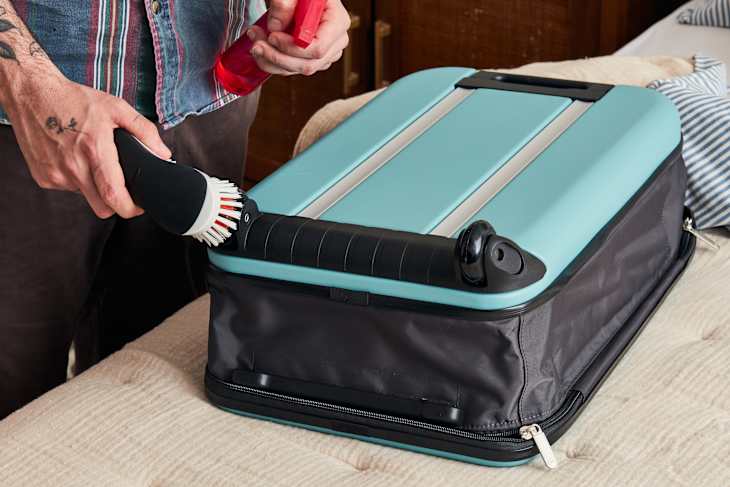How to Clean a Suitcase (Exterior, Interior, Tags & Wheels) | Apartment  Therapy