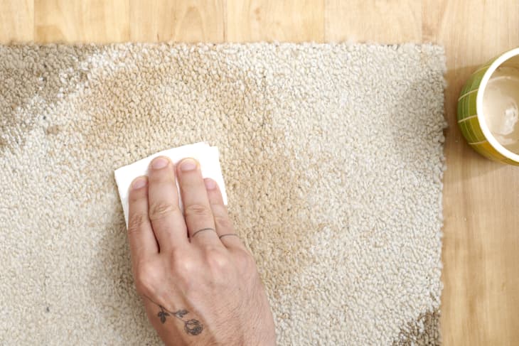Overhead view of a hand dabbing a coffee stain on a white and brown carpet with paper towel.