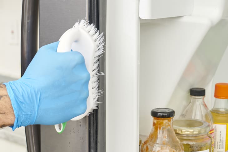 Close up of hand with a blue glove on scrubbing fridge door seal with a white scrubber.
