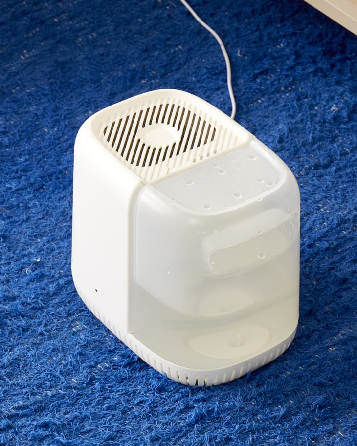 Angled view of a humidifier on a blue rug.
