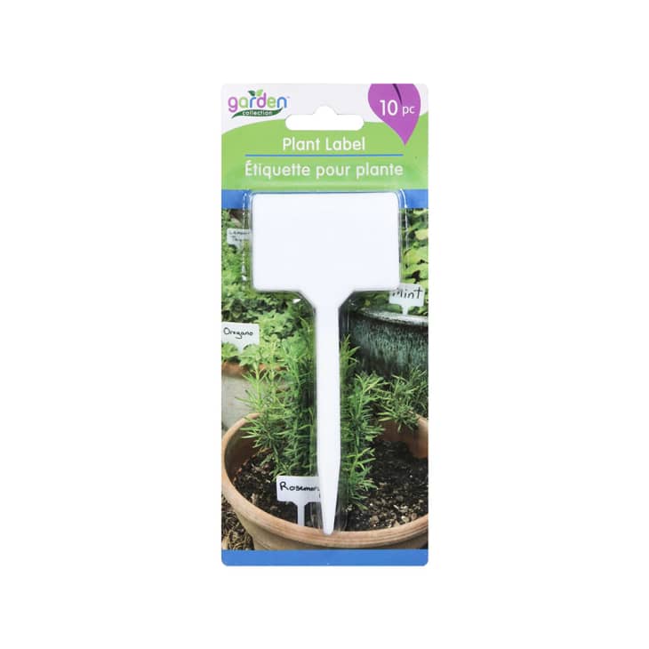 Garden Collection Plastic Plant Labels at Dollar Tree