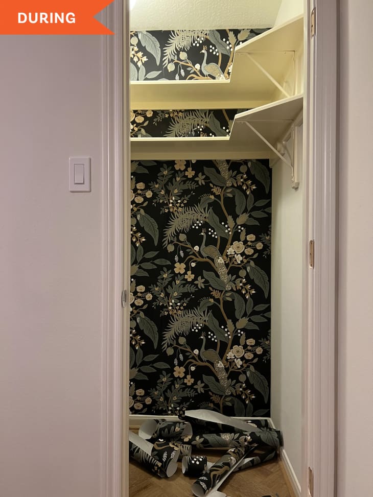 During: Closet with white shelves and wallpaper
