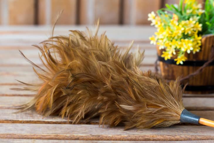 A feather duster on a wooden table